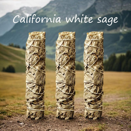 White Sage - Purifies negative emotions